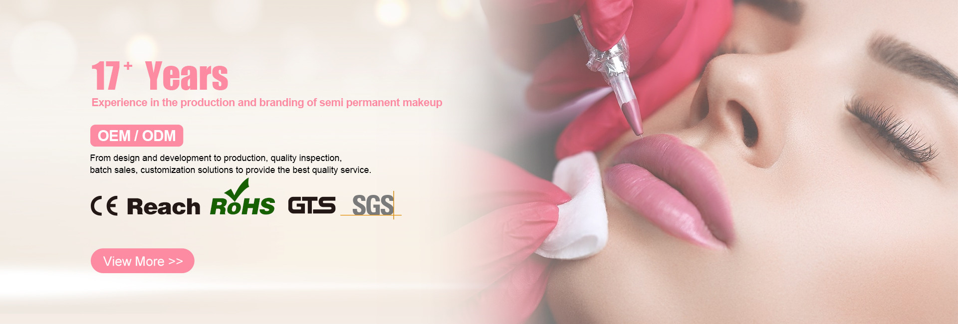 गुणवत्ता स्थायी मेकअप टैटू किट कारखाना